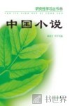 中国小说