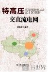 特高压交直流电网