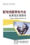 配电线路带电作业标准化作业指导