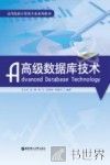 高级数据库技术