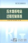 压水堆核电站过程控制系统