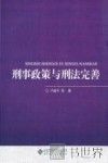 刑事政策与刑法完善