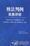 刑法判例实务评讲