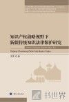 知识产权战略视野下新疆传统知识法律保护研究