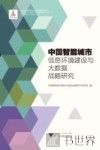 中国智能城市信息环境建设与大数据战略研究
