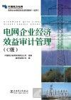 电网企业经济效益审计管理  C级
